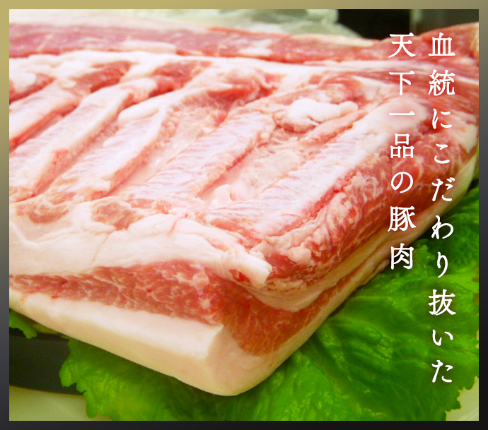 血統にこだわり抜いた 天下一品の豚肉